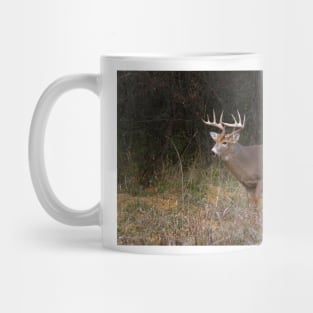 On the hunt - White-tailed deer Buck Mug